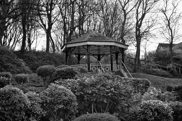 The Bandstand in Northumberland Park North Shields Picture Board by Jim Jones