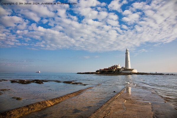Spring Sunshine at St Marys Island Picture Board by Jim Jones
