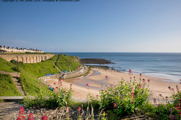 King Edwards Bay Tynemouth  Picture Board by Jim Jones