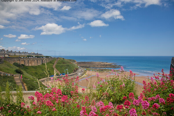 King Edwards Bay, Tynemouth  Picture Board by Jim Jones
