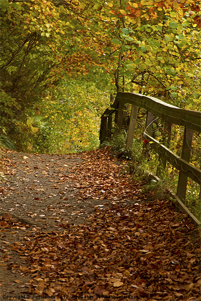 Golden Autumn Woodland Walk Picture Board by Jim Jones