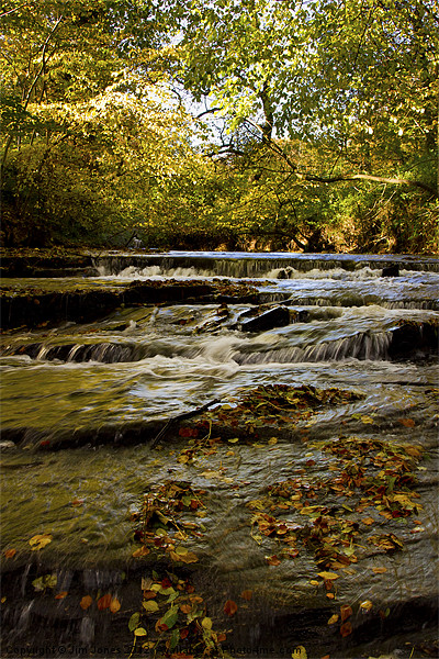 Cascading River in Autumn Picture Board by Jim Jones