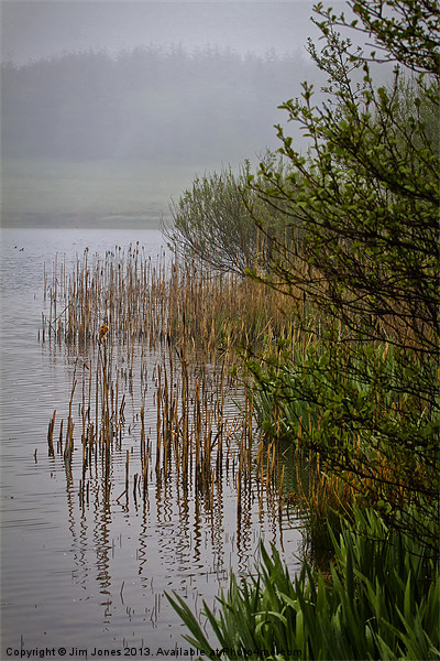 Mist on the Lake Picture Board by Jim Jones