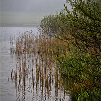 Buy canvas prints of Mist on the Lake by Jim Jones