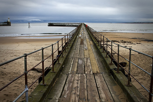 Wooden Pier at Blyth Northumberland Picture Board by Jim Jones