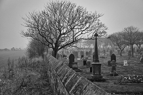 Mist over the Cemetery Picture Board by Jim Jones