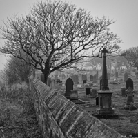 Buy canvas prints of Mist over the Cemetery by Jim Jones