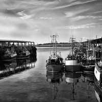 Buy canvas prints of  North Shields Fish Quay in B&W by Jim Jones