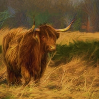 Buy canvas prints of  Highland cow with painterly effect by Jim Jones