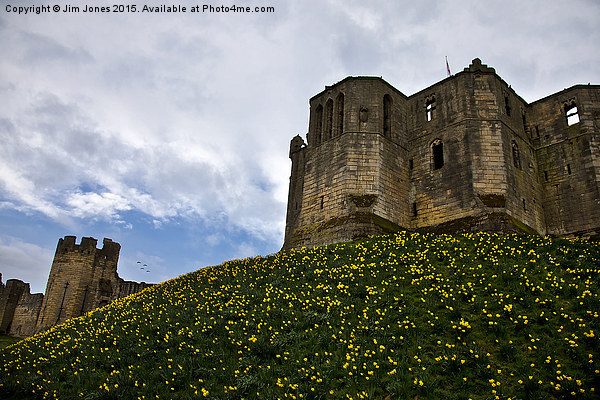  Warkworth Castle in springtime Picture Board by Jim Jones