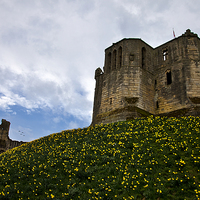 Buy canvas prints of  Warkworth Castle in springtime by Jim Jones