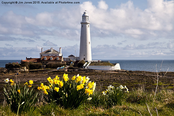  St Mary's Island in springtime Picture Board by Jim Jones