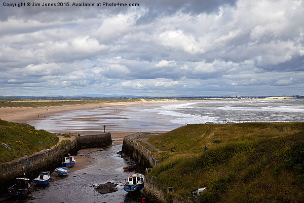  Seaton Sluice harbour looking north Picture Board by Jim Jones