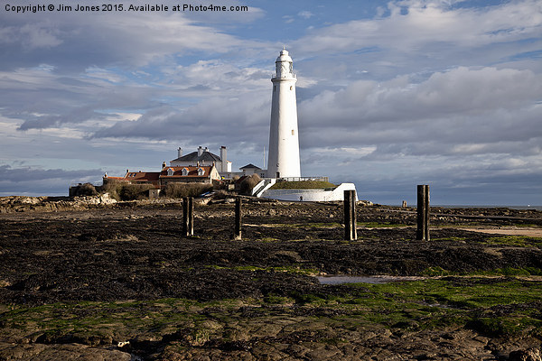  St Mary's Island and Lighthouse Picture Board by Jim Jones
