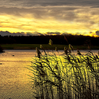 Buy canvas prints of  Early morning glow over the lake by Jim Jones