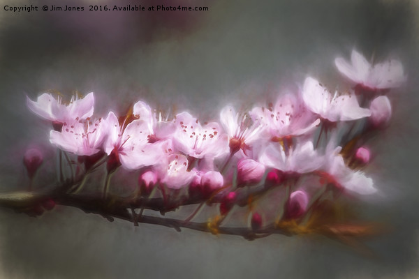 Dreamy Spring Time Framed Print by Jim Jones