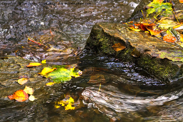 Clear water and autumn leaves Picture Board by Jim Jones