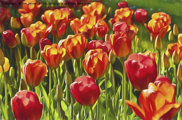 Artistic Tulips Picture Board by Jim Jones