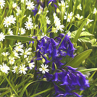 Buy canvas prints of Artistic Greater Stitchwort and Bluebells by Jim Jones