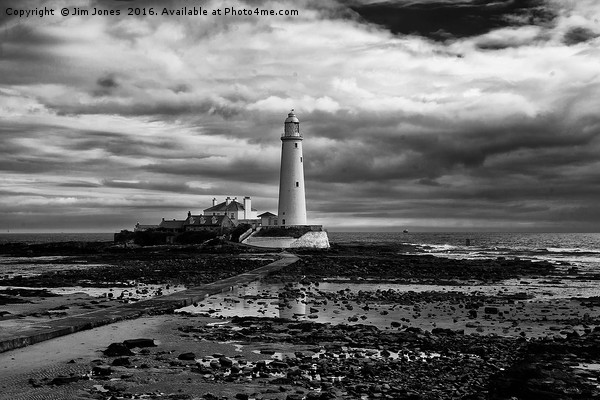 St Mary's Lighthouse and Island in B&W Picture Board by Jim Jones