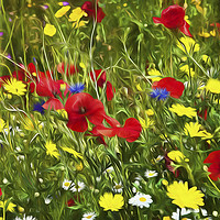 Buy canvas prints of Artistic Wild Flowers by Jim Jones