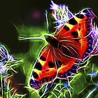 Buy canvas prints of Electric Peacock Butterfly by Jim Jones