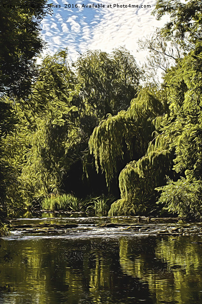 Artistic Weeping Willows and Water Picture Board by Jim Jones