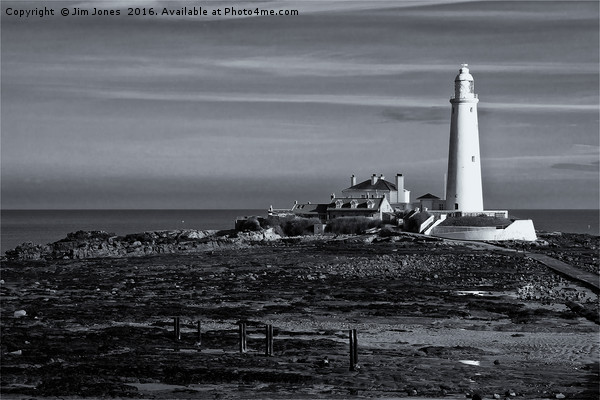 St Mary's Island in mono Picture Board by Jim Jones