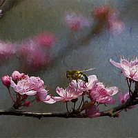 Buy canvas prints of Artistic springtime by Jim Jones