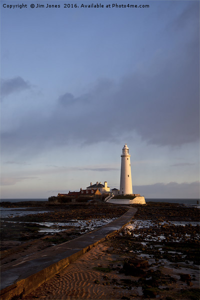 St Mary's Island and lighthouse. Picture Board by Jim Jones