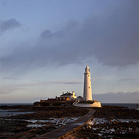 Buy canvas prints of St Mary's Island and lighthouse. by Jim Jones