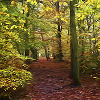 Buy canvas prints of Walk in the Enchanted Forest by Jim Jones