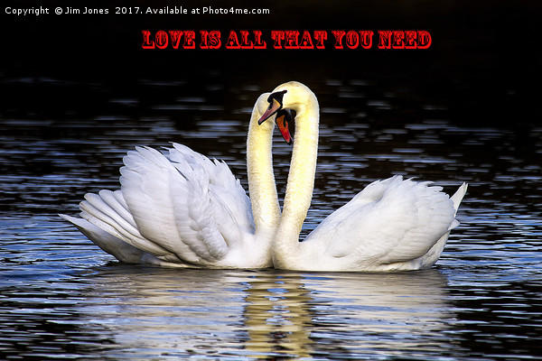 Love is all that you need! Picture Board by Jim Jones