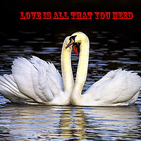 Buy canvas prints of Love is all that you need! by Jim Jones