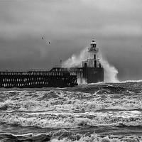 Buy canvas prints of Storm in black and white by Jim Jones