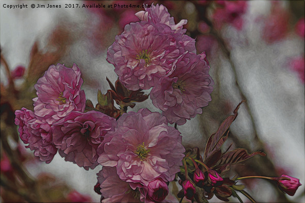 Artistic Cherry Blossom Picture Board by Jim Jones