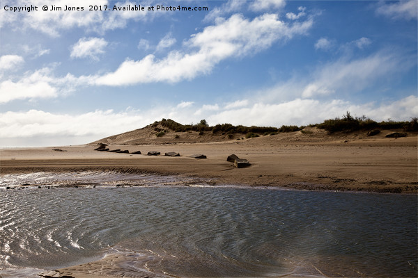 The Sand Dunes at Alnmouth Picture Board by Jim Jones