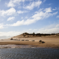 Buy canvas prints of The Sand Dunes at Alnmouth by Jim Jones