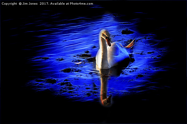 Artistic Swan Picture Board by Jim Jones