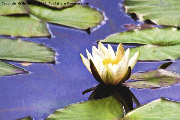 Artistic Water Lily Picture Board by Jim Jones