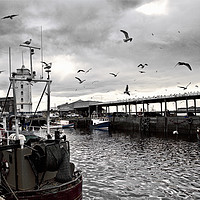 Buy canvas prints of North Shields Fish Quay  by Jim Jones