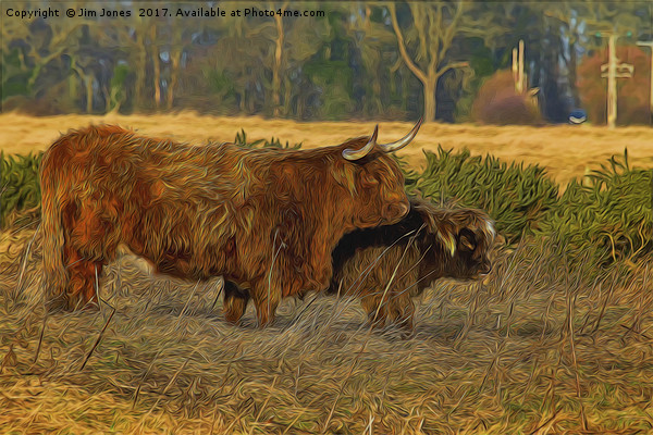 Highland cow and calf with artistic filter Picture Board by Jim Jones