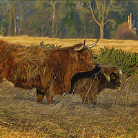 Buy canvas prints of Highland cow and calf with artistic filter by Jim Jones