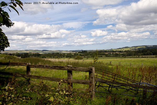 Rural Northumberland Picture Board by Jim Jones
