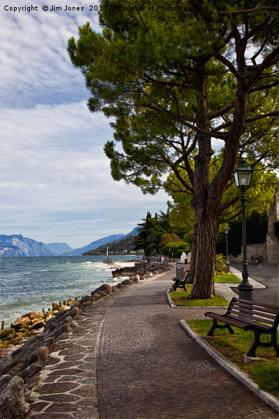 Lake Garda (2) Picture Board by Jim Jones