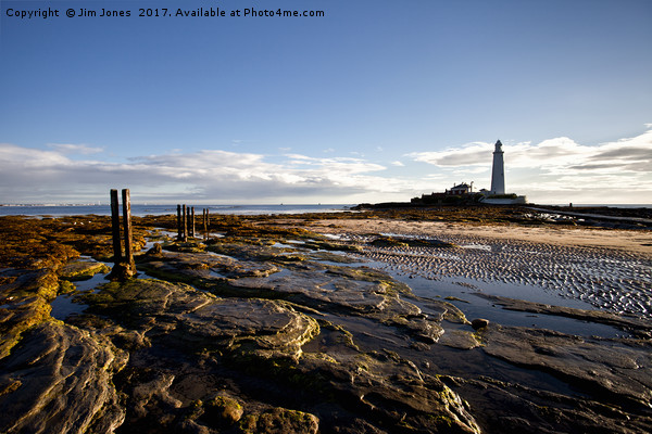 St Mary's Island and Lighthouse Picture Board by Jim Jones