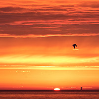 Buy canvas prints of Stunning North Sea Sunrise by Jim Jones