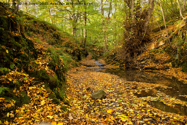 Woodland stream in Autumn Picture Board by Jim Jones