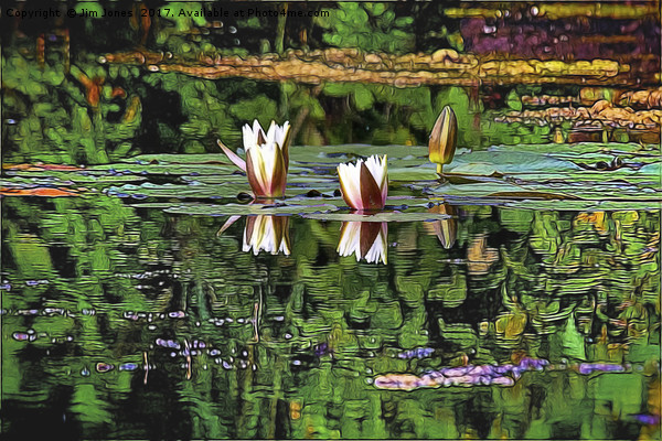 Airbrushed Water Lilies Picture Board by Jim Jones