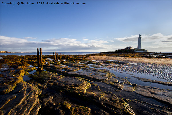 St Mary's Island and Lighthouse Picture Board by Jim Jones
